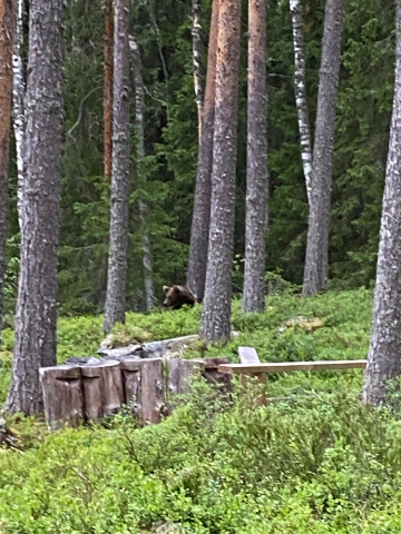 Karhu Valamon erakkokurssilla