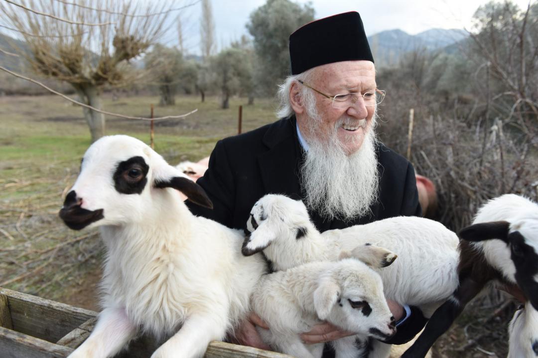 Ekumeeninen patriarkka Bartolomeos pitää lammasta sylissään