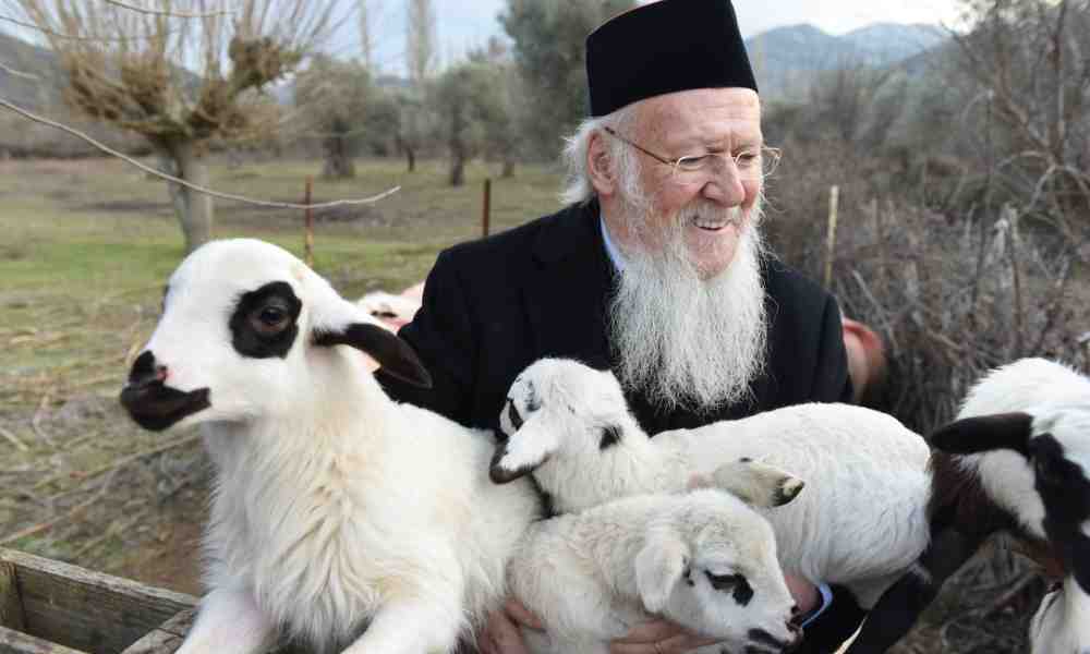 Konstantinopolin Ekumeeninen Patriarkka Bartolomeos pitää sylissään valkoisia lampaita